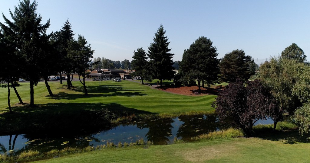 Golf course green with pond, manicured greens, and trees